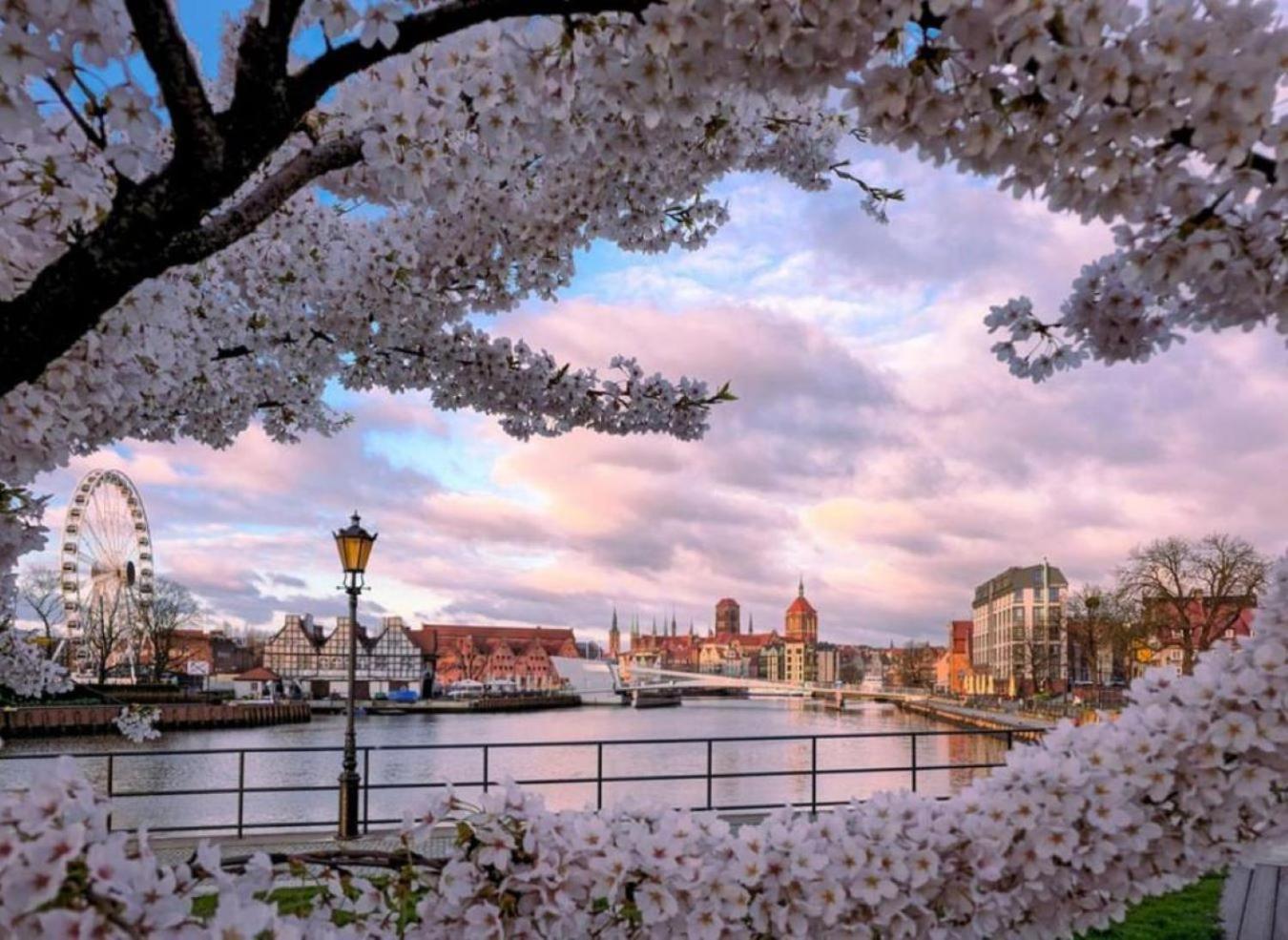 Baltic Gdansk Old Town Heart Aparthotel Ngoại thất bức ảnh